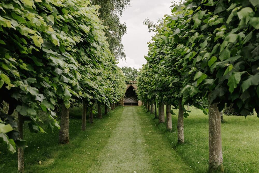 Cressy Hall - Historic Grade II Listed Manor, Gorgeous Topiary Garden Gosberton エクステリア 写真